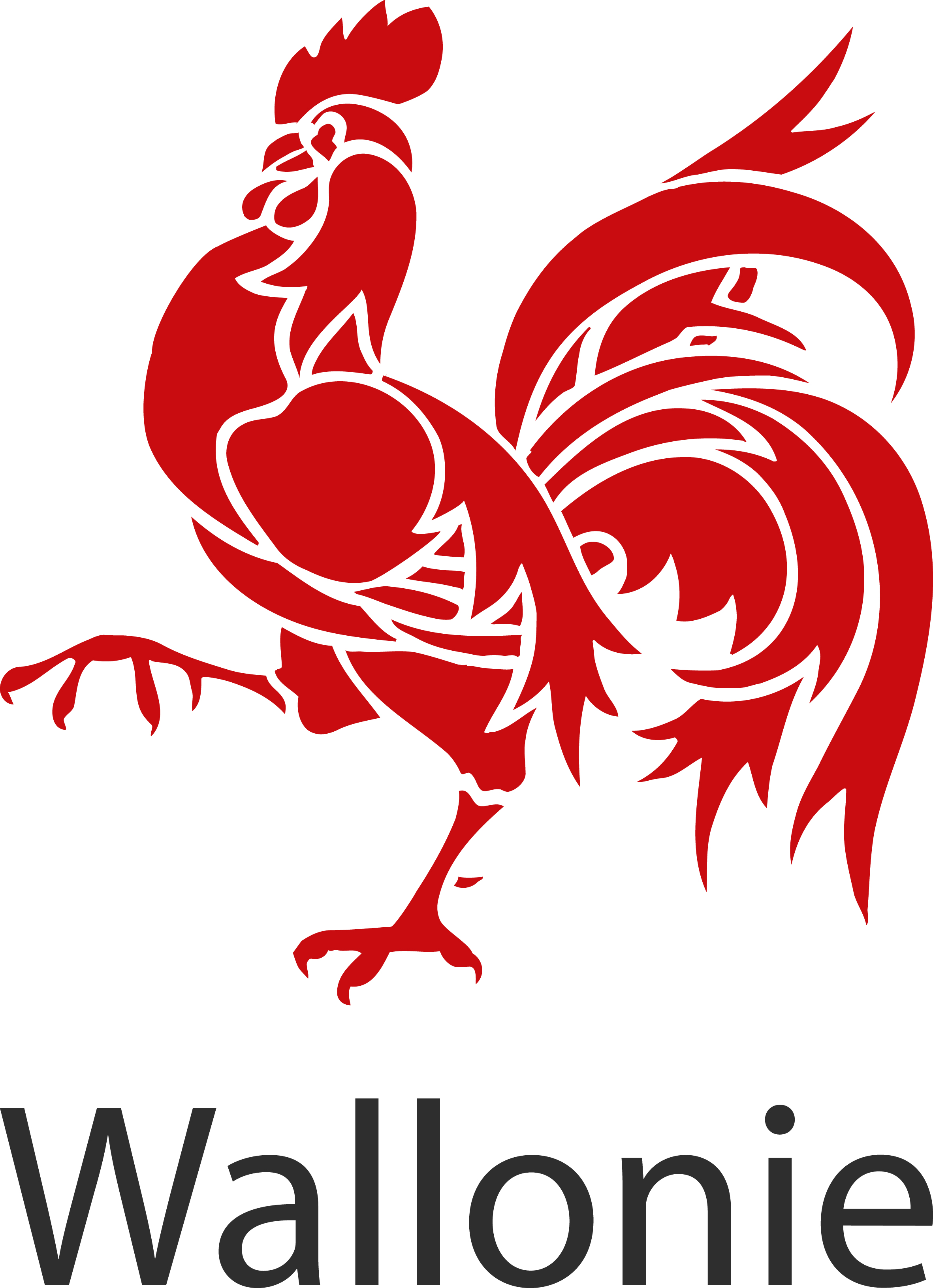 logo coq wallonie